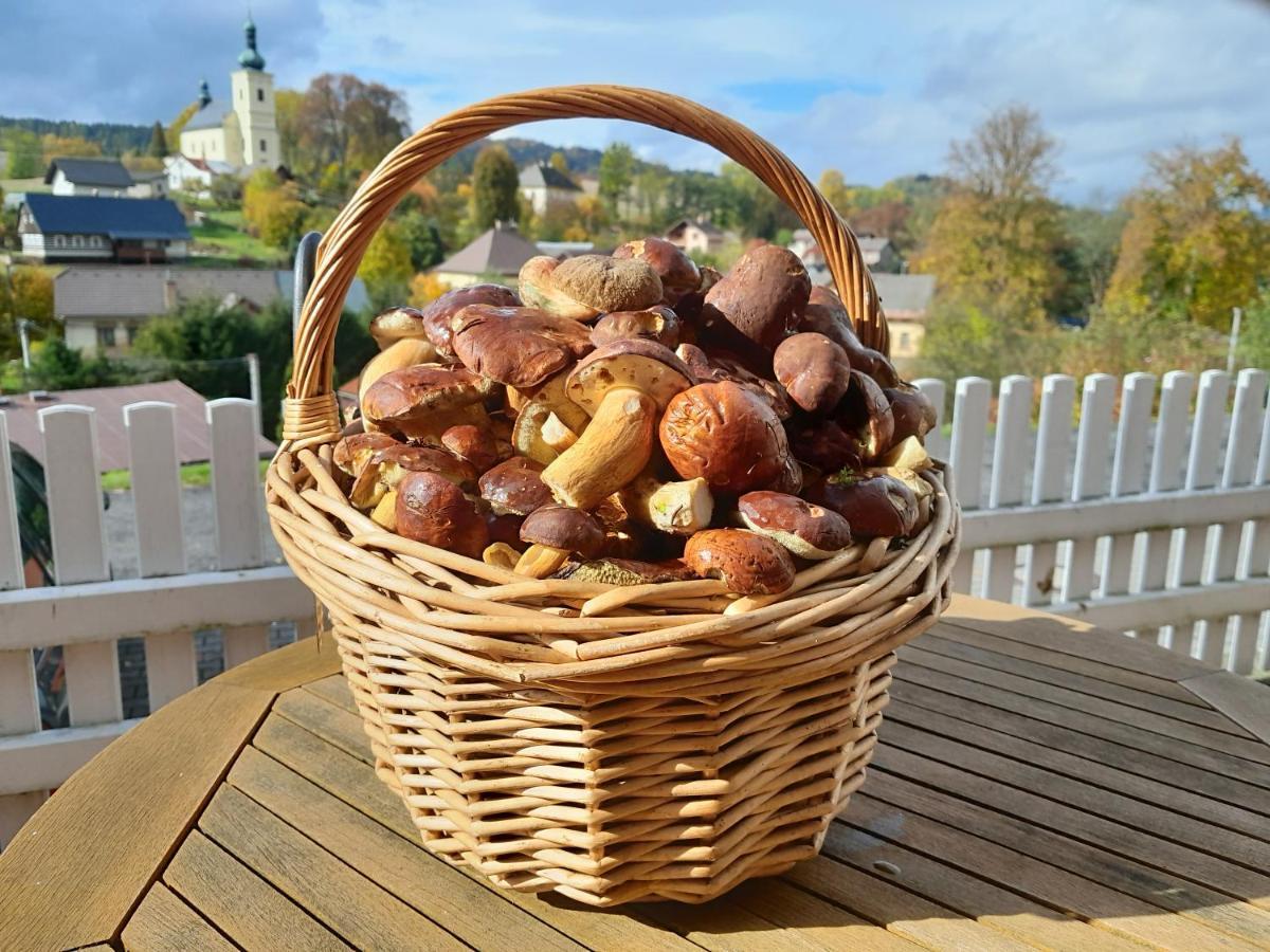 Pension Jana - Wellness Jilemnice Buitenkant foto