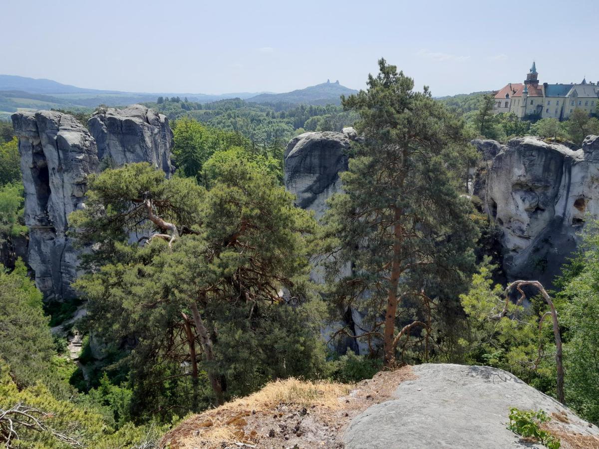 Pension Jana - Wellness Jilemnice Buitenkant foto